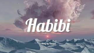 Habibi Remix slowedreverb One hour [upl. by Enitsirk993]