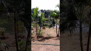 Botanical garden Calicut university view [upl. by Hoban]