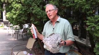 How to remove a wasp nest with insecticidal spray [upl. by Poyssick]