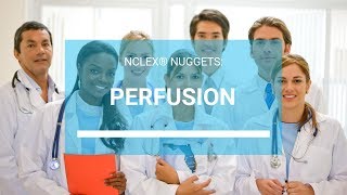 Perfusion — NCLEX® Nugget [upl. by Akimet867]