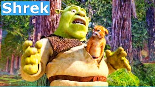 Shrek 2004 Movie Explained in Hindi  Shrek Summarized [upl. by Jarrod]