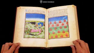 LA MIRABILE VISIONE  Browsing Facsimile Editions 4K  UHD [upl. by Frankie]