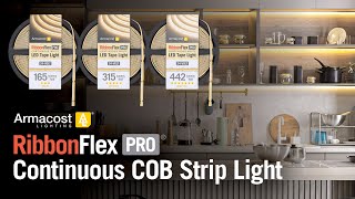 RibbonFlex Pro COB LED Strip Light from Armacost Lighting [upl. by Timi796]