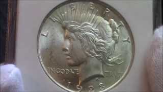 1923  Peace Silver Dollar  MS65 NGC  Coin Showcase [upl. by Schoenburg]