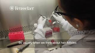 3DPrinting Hair Follicles in LabGrown Skin [upl. by Nithsa]