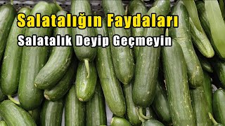 Salatalığın Sağlığımıza Faydaları Nelerdir [upl. by Mcgean306]