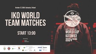 WORLD TEAM MATCHES  KARATE KYOKUSHIN IKO WORLD CUP KATOWICE 2024 POLAND [upl. by Nicholl]