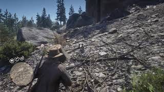 Red Dead Redemption 2 Ubicacion de Tejon Americano American Badger Location [upl. by Siva223]