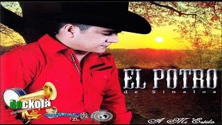 El Potro de Sinaloa  A Mi Estilo  ALBUM [upl. by Bore]