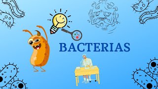 ¿Qué son las bacterias esferasbarras y espirales  Videos Educativos para Niños [upl. by Egag]