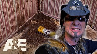 Top 3 HORRIFYING Roach Infestations  Billy the Exterminator  AampE [upl. by Aisinut]