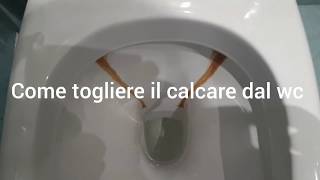 Come togliere le incrostazioni dal wc [upl. by Jessen]