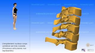 La colonne cervicale [upl. by Ybbed]