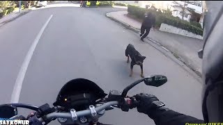 MOTORCULARA KÖPEK SALDIRMA OLAYLARI [upl. by Adnohsal573]