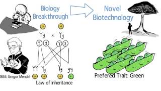 What is Biotechnology [upl. by Enialahs]