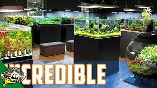 The BEST Aquascaping Store in the WORLD [upl. by Arinay]