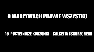 PUSTELNICZE KORZONKI – SALSEFIA I SKORZONERA  O WARZYWACH PRAWIE WSZYSTKO cz16  Gorzka Jagoda [upl. by Nyliuqcaj]