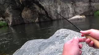 Middle Fork Stanislaus River Fishing [upl. by Ambrosane]