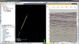 Petrel Loading seismic data  Seismic interpretation [upl. by Nerred]