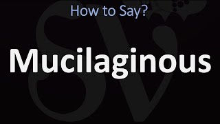 How to Pronounce Mucilaginous CORRECTLY [upl. by Anitsenre]