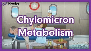 Chylomicron Metabolism USMLE Mnemonic [upl. by Ydarg]