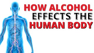 Alcohol Effects on the Human Body  Explained [upl. by Cyrie]