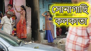 Sonagachi Kolkata Unknown Facts in Bengali  Amar Bangla Facts সোনাগাছি কলকাতার অজানা তথ্য Part 1 [upl. by Nnalyrehc]