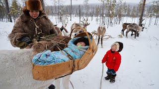 pregnancy and giving birth in arctic north nomads life [upl. by Emirej780]