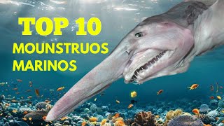 10 Sorprendentes Especies Marinas que NO CREERÁS que Existen [upl. by Columbyne]