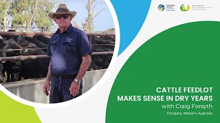 Cattle feedlot makes sense in dry years [upl. by Ferdy]