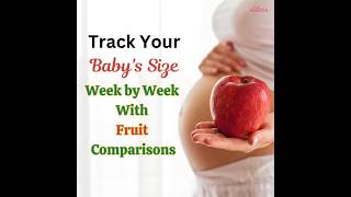 Fetal Development Week By Week  Baby Size Comparison With Fruits [upl. by Millie]