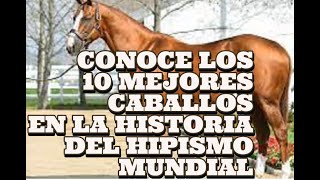 LOS 10 CABALLOS MAS ESPECTACULARES DE LA HISTORIA HIPICA MUNDIAL Top 10 The Best Horses in History [upl. by Otrevire540]