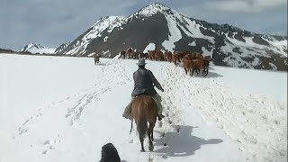 Colono en Tierra del Fuego [upl. by Sarkaria288]