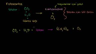 Fotosentez Fen Bilimleri Biyoloji [upl. by Rukna]