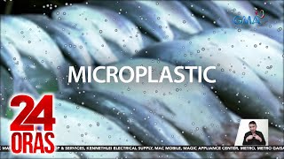 60 ng mga sinuring bangus ng DOST mula Mindanao nakitaan ng microplastic  24 Oras [upl. by Amirak]