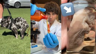 Cloning a Dog worth 50000 in a DNA Laboratory🧬FULL VIDEO [upl. by Nata]