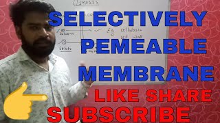 PERMEABLE MEMBRANE  SEMIPERMEABLE MEMBRANE  IMPERMEABLE MEMBRANE  SELECTIVELY PERMEABLE MEMB [upl. by Niccolo]