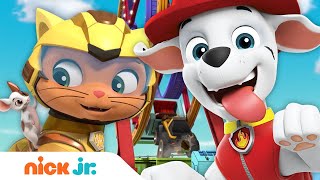 PAW Patrol Sea Patrol Rescues  30 Minute Compilation  Nick Jr [upl. by Murtha826]