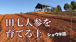 田七人参を育てる土 [upl. by Eliseo49]