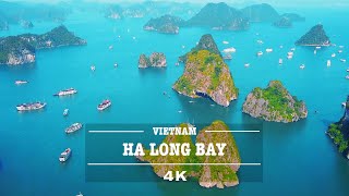 10 Days in VIETNAM Hanoi Ha Long Bay Hoi An Ho Chi Minh Hue  Full Travel Vlog amp Guide [upl. by Hussar]