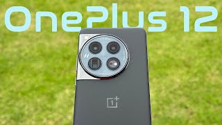 A Budget Flagship  OnePlus 12 Review [upl. by Dier]