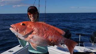 GIANT Fish Offshore Fishing and Deep Dropping the Gulf of Mexico [upl. by Ailem617]