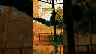 Bruce Lee dragon flag calisthenics workout gym bodybuilding short viral [upl. by Katheryn675]