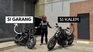 SPORTSTER 48 vs SPORTSTER IRON 883 Mana yang Cocok untukmu [upl. by Suryt834]