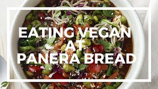 Eating Vegan At Panera Bread  Delicious amp Easy [upl. by Neelear]