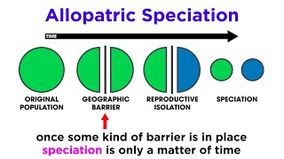 Types of Speciation Allopatric Sympatric Peripatric and Parapatric [upl. by Engle]