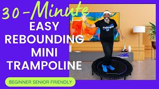 Easy Rebounder Mini Trampoline Exercise Workout  30 Minutes  Beginner amp Senior Friendly [upl. by Oletha]