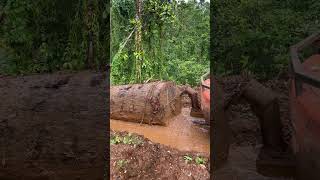 solomonisland logging excavator anakrantau [upl. by Assirialc490]