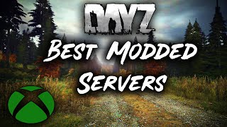 We Spent 24 Hours On The Most Modded DayZ Servers [upl. by Josefa748]