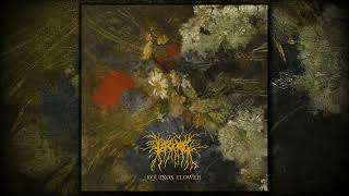 Lascar  Equinox Flower Full album [upl. by Ruella]